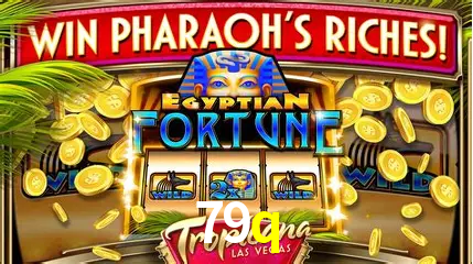 Casino Ao Vivo 79q